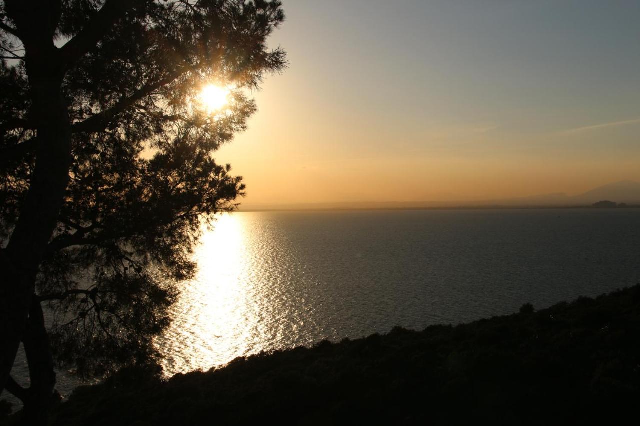 Appartement Empuria Empuriabrava Buitenkant foto